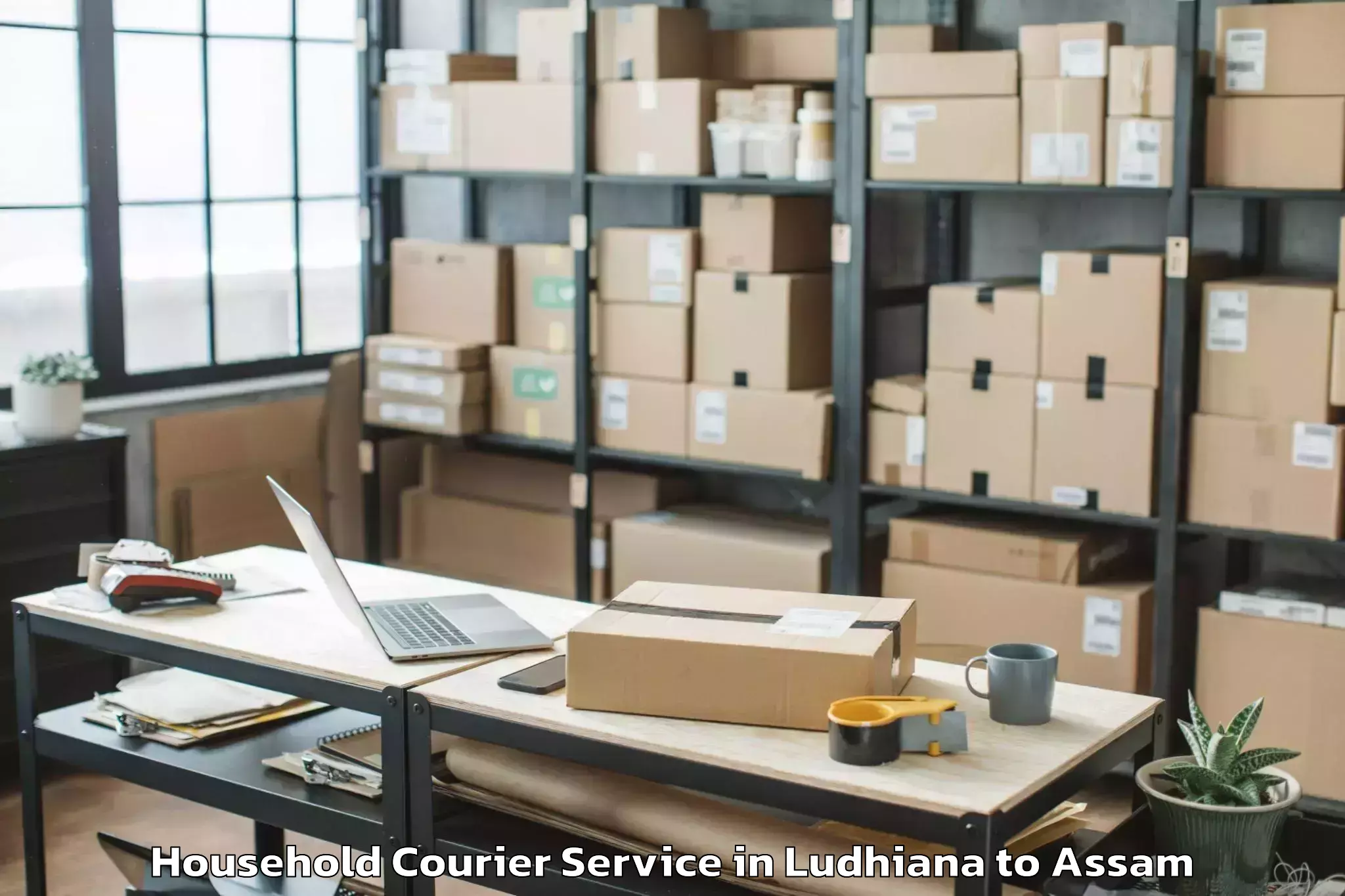 Ludhiana to Lalapur Hailakandi Household Courier